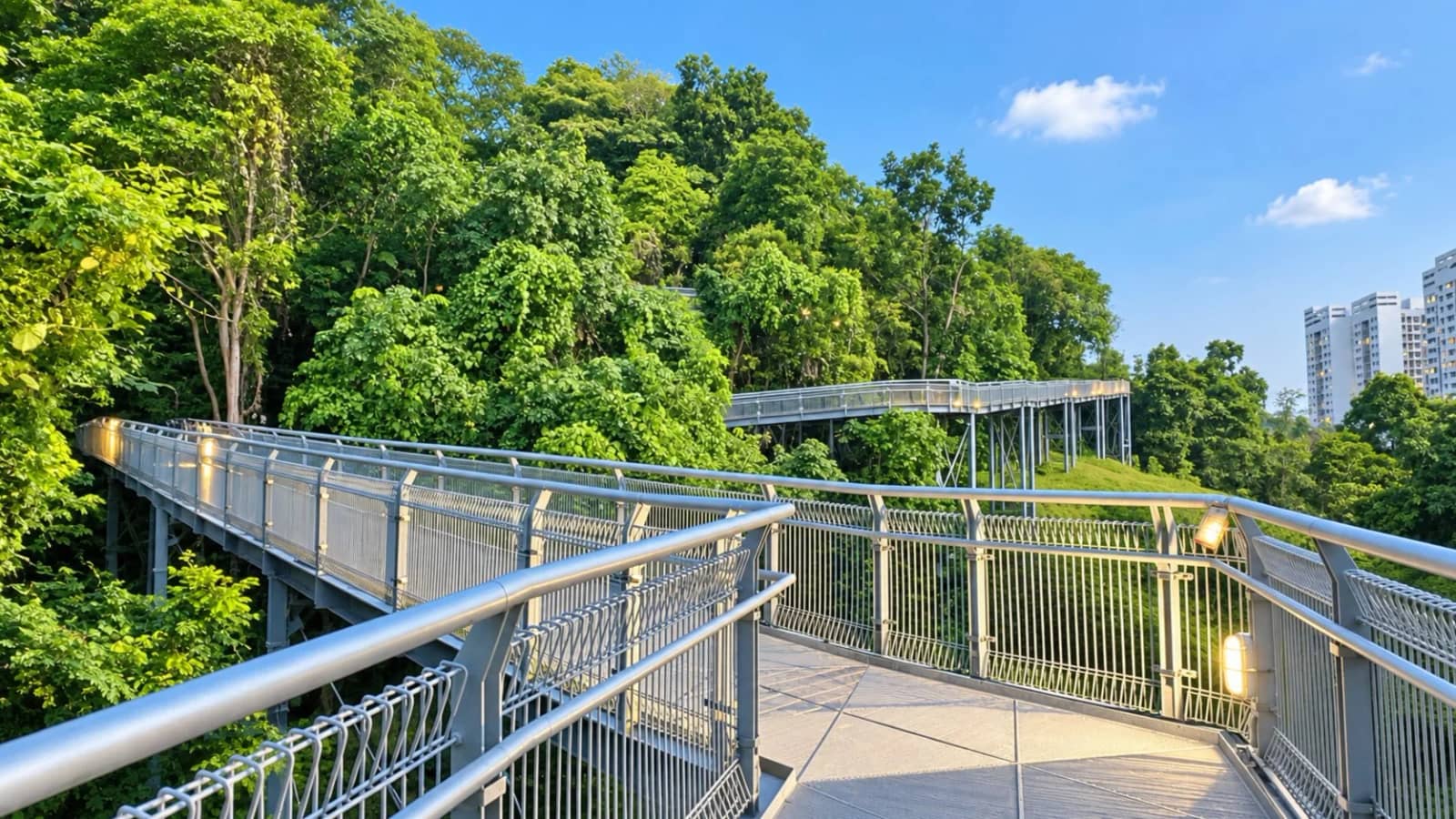 Southern Ridges Walk (Eastbound Leg) & Social Dinner