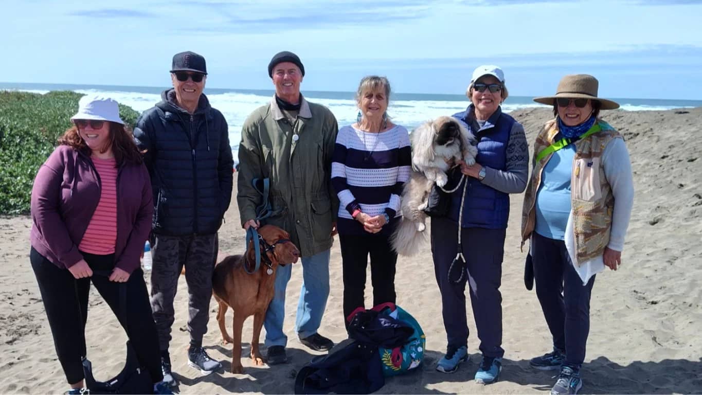 Ocean Beach Stroll