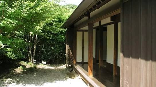【For Ages 18–35】Talk Over Coffee: Speak in Japanese