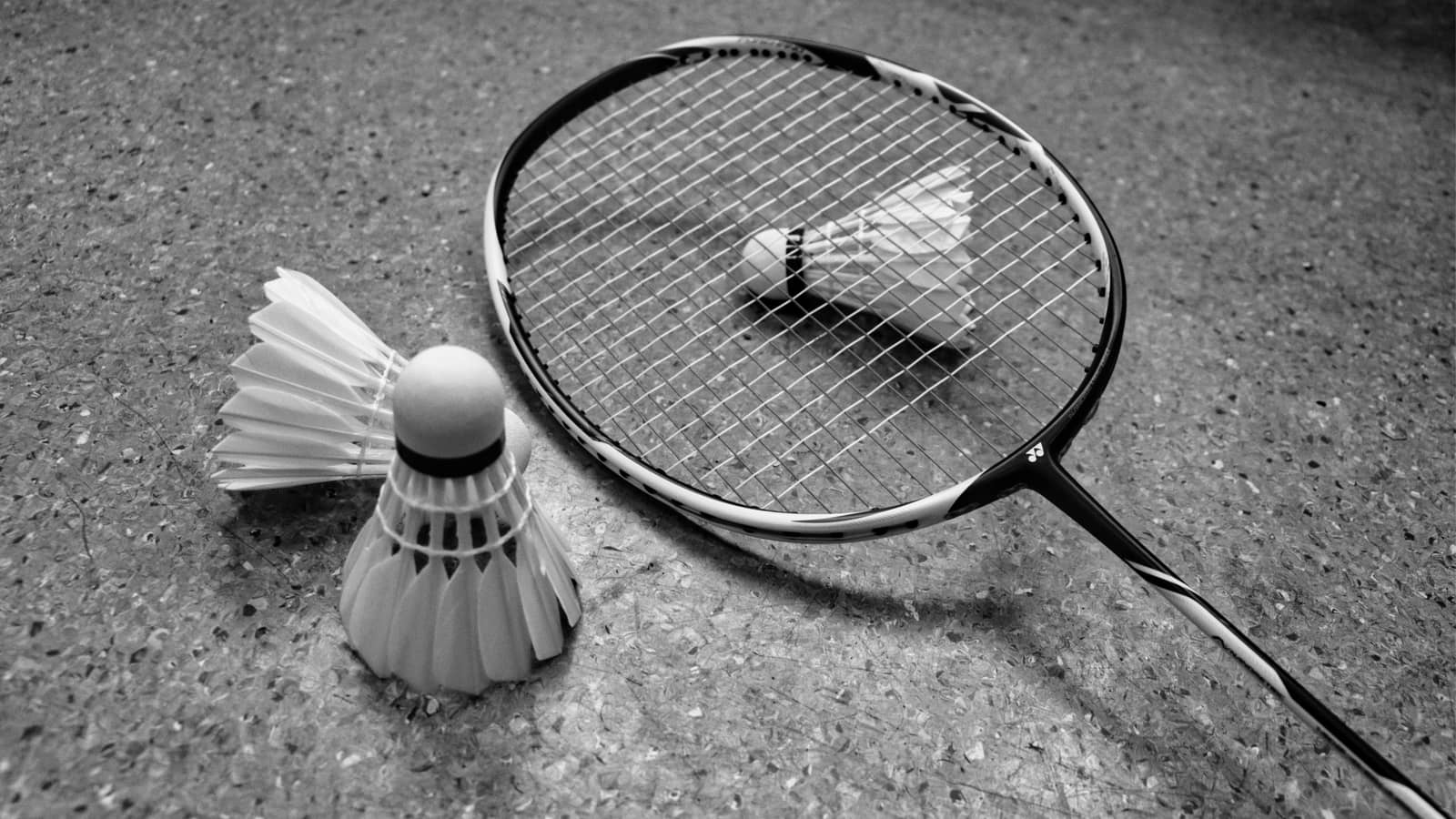Weekend Social Badminton 🏸 (Casual Games + Meet New People)
