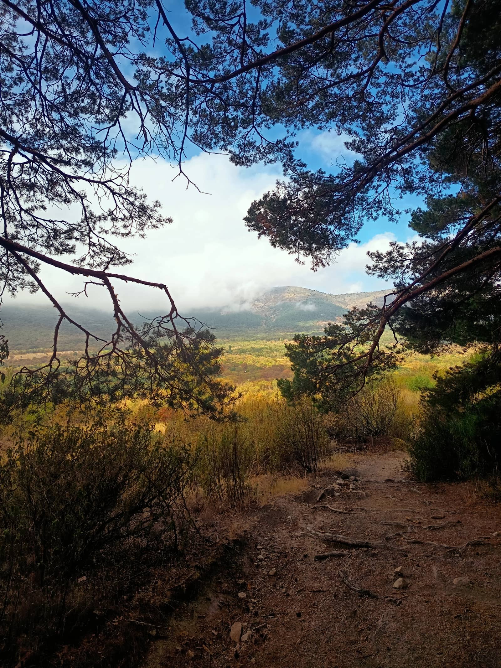 25/10 Ruta Fácil de Senderismo en Bustarviejo El Otoño Más mágico de la Sierra