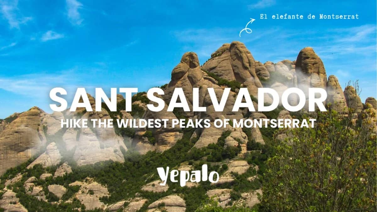 šCumbres salvajes de Montserrat: el elefante - Sant Jeroni - senderismo/hiking