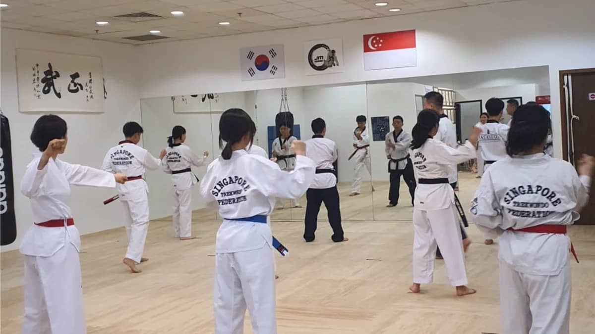 [FREE TRIAL] Adult Taekwondo Group Class