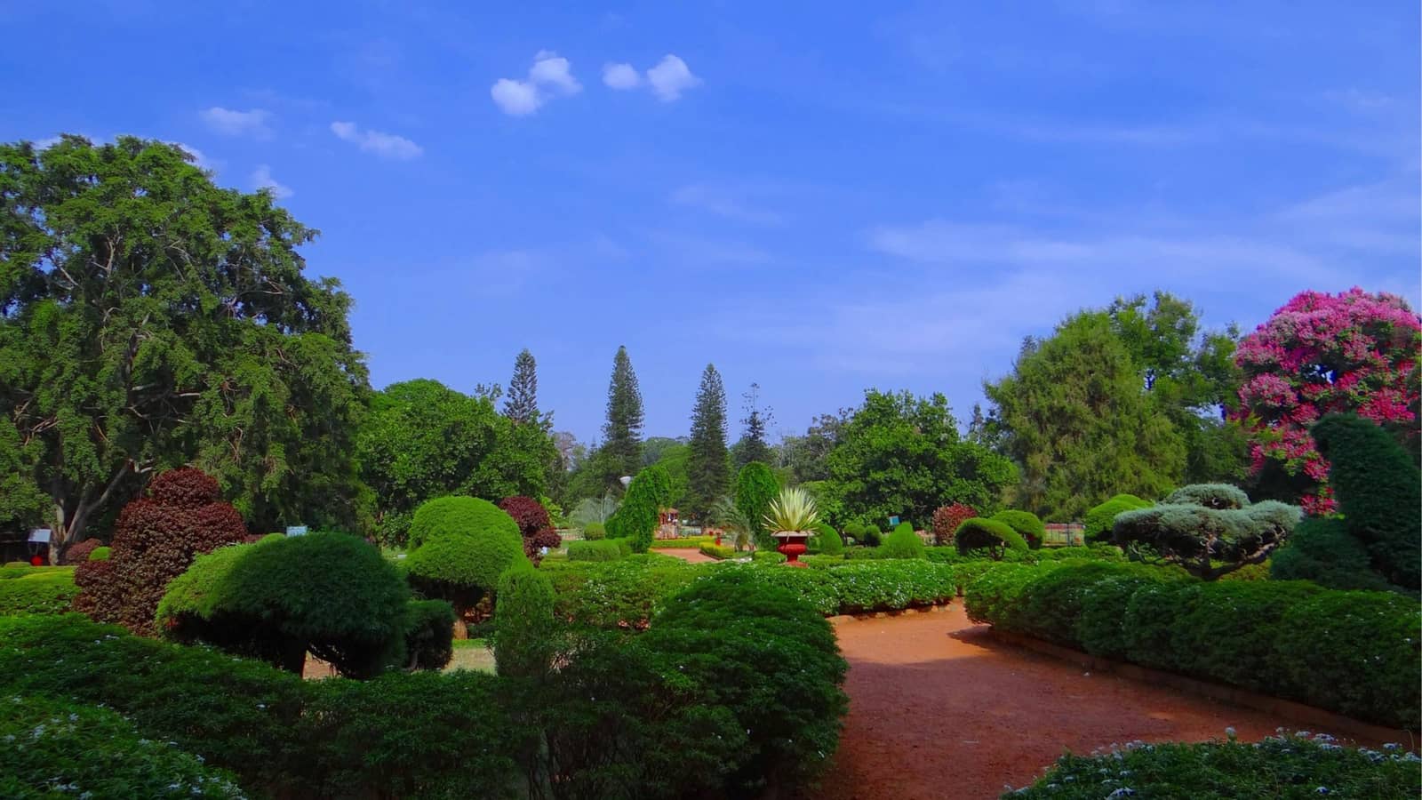 Lazy stroll @ Lalbagh (Family Catchup)