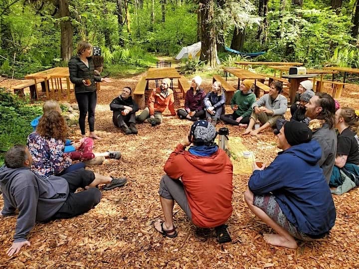 Forest Bathing Experience🌿