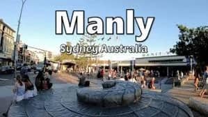"Seaforth Safari" Newbie-Manly-Fairlight-Manly-Vale-Seaforth-North-Balgowlah!