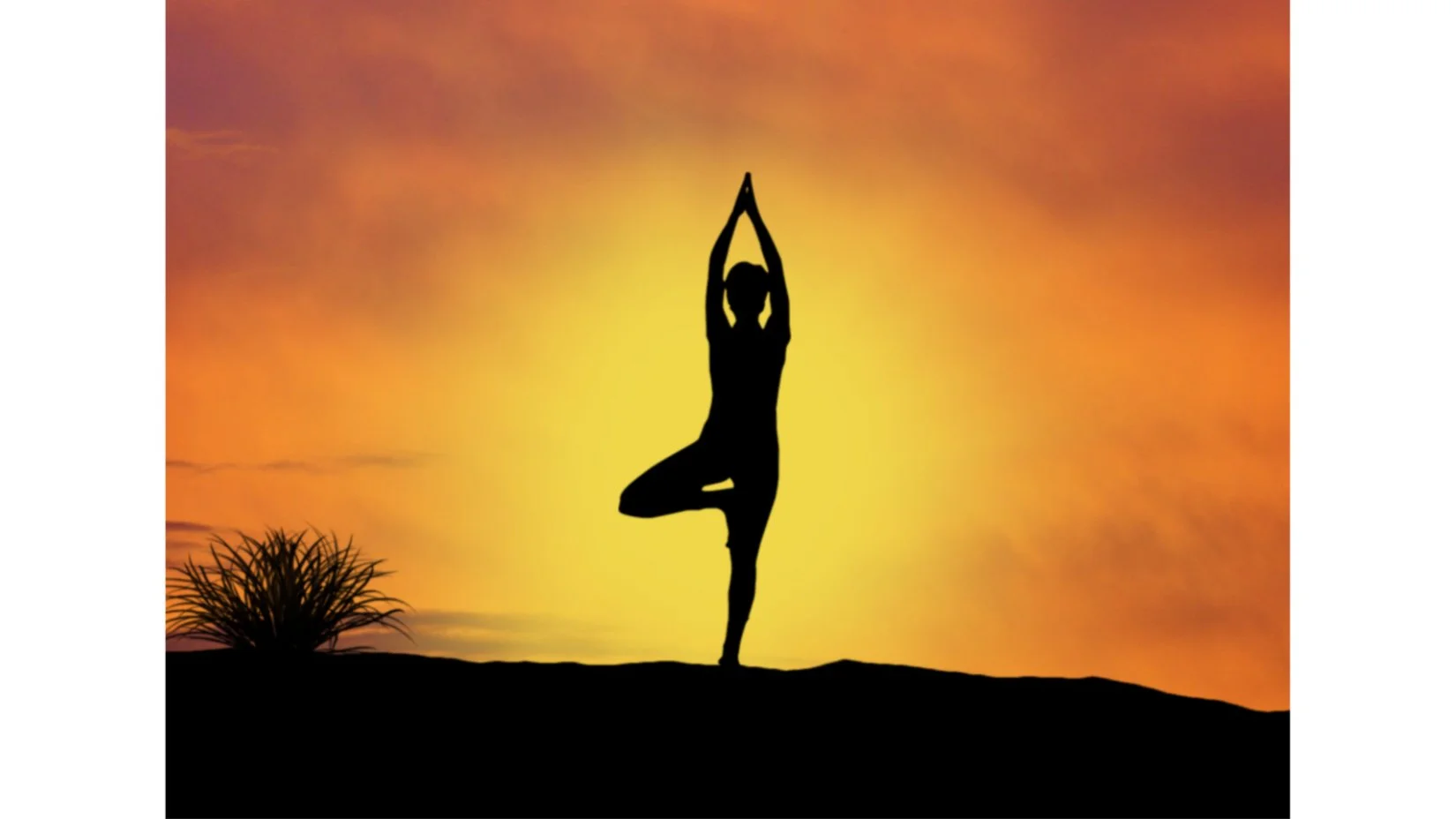 Clase de Yoga +  sesión de Terapia Mística. Aportación libre