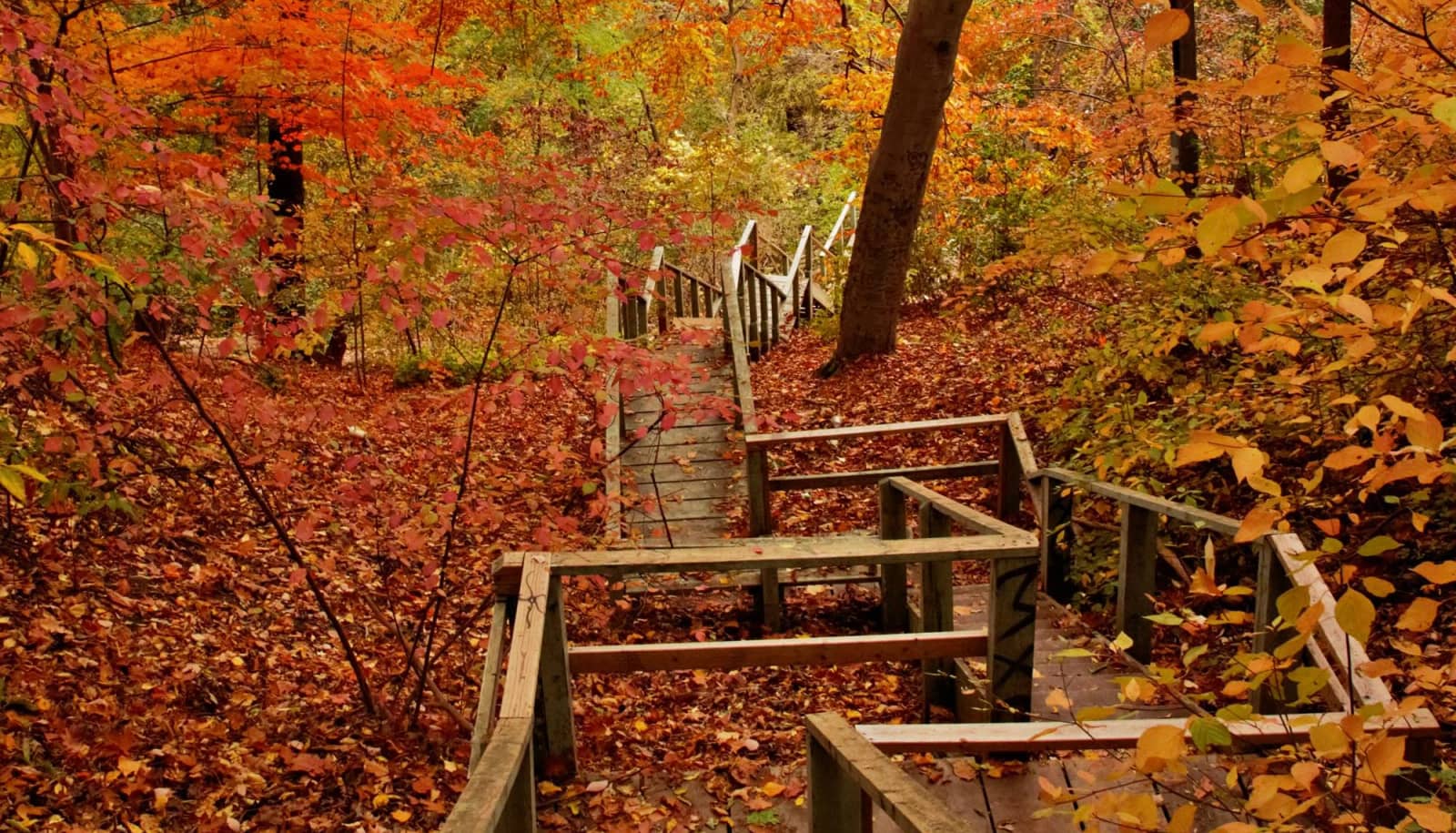 Crothers wood hiking