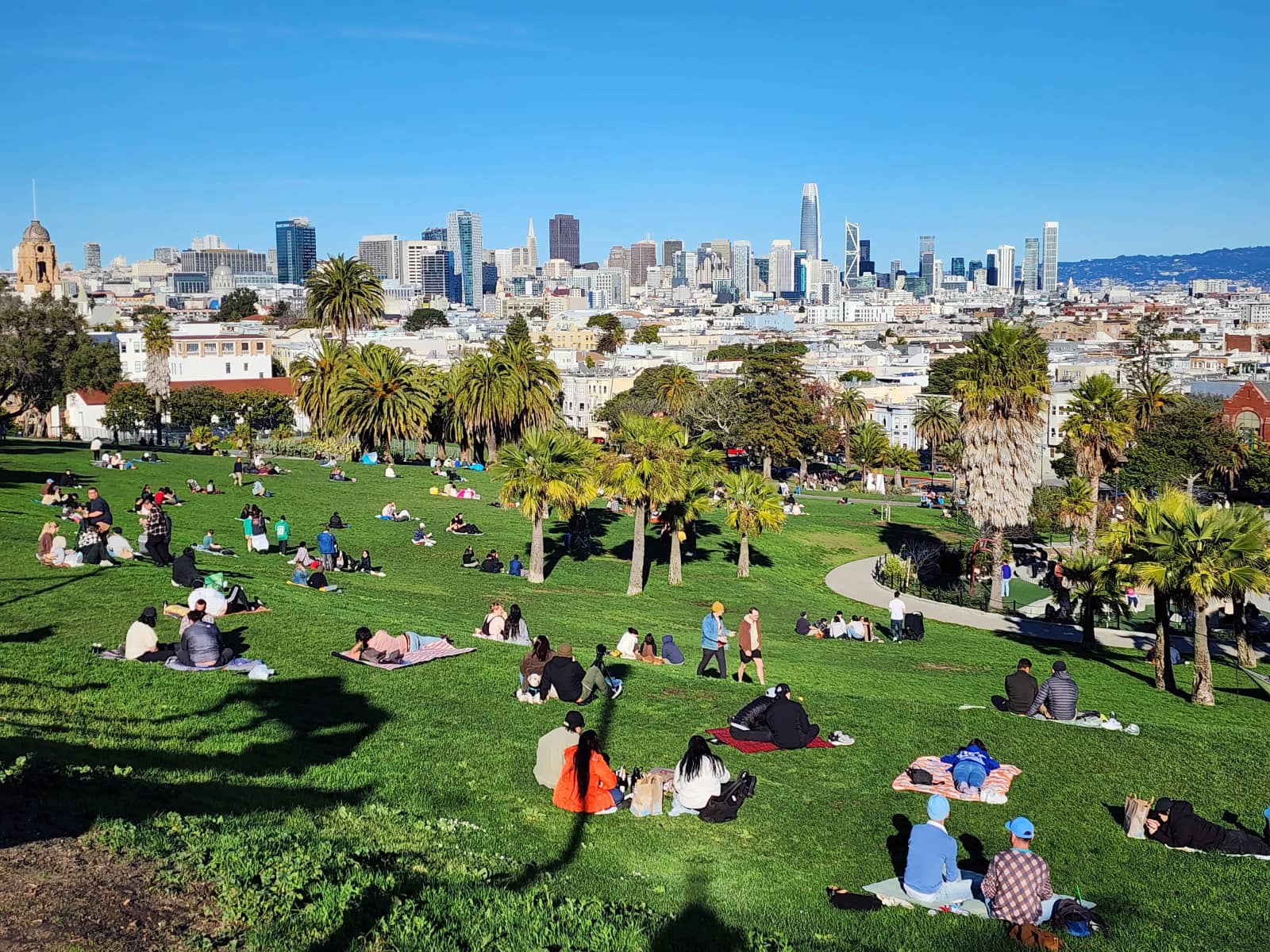 Picnic and Friends @ Dolores Park