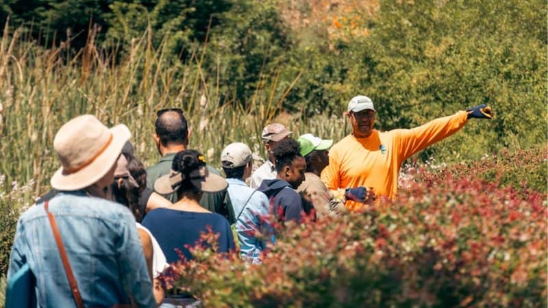 Alemany Farm Native Plant Volunteer Day