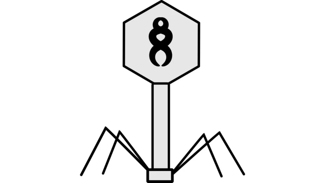 Monthly Malware Meetup