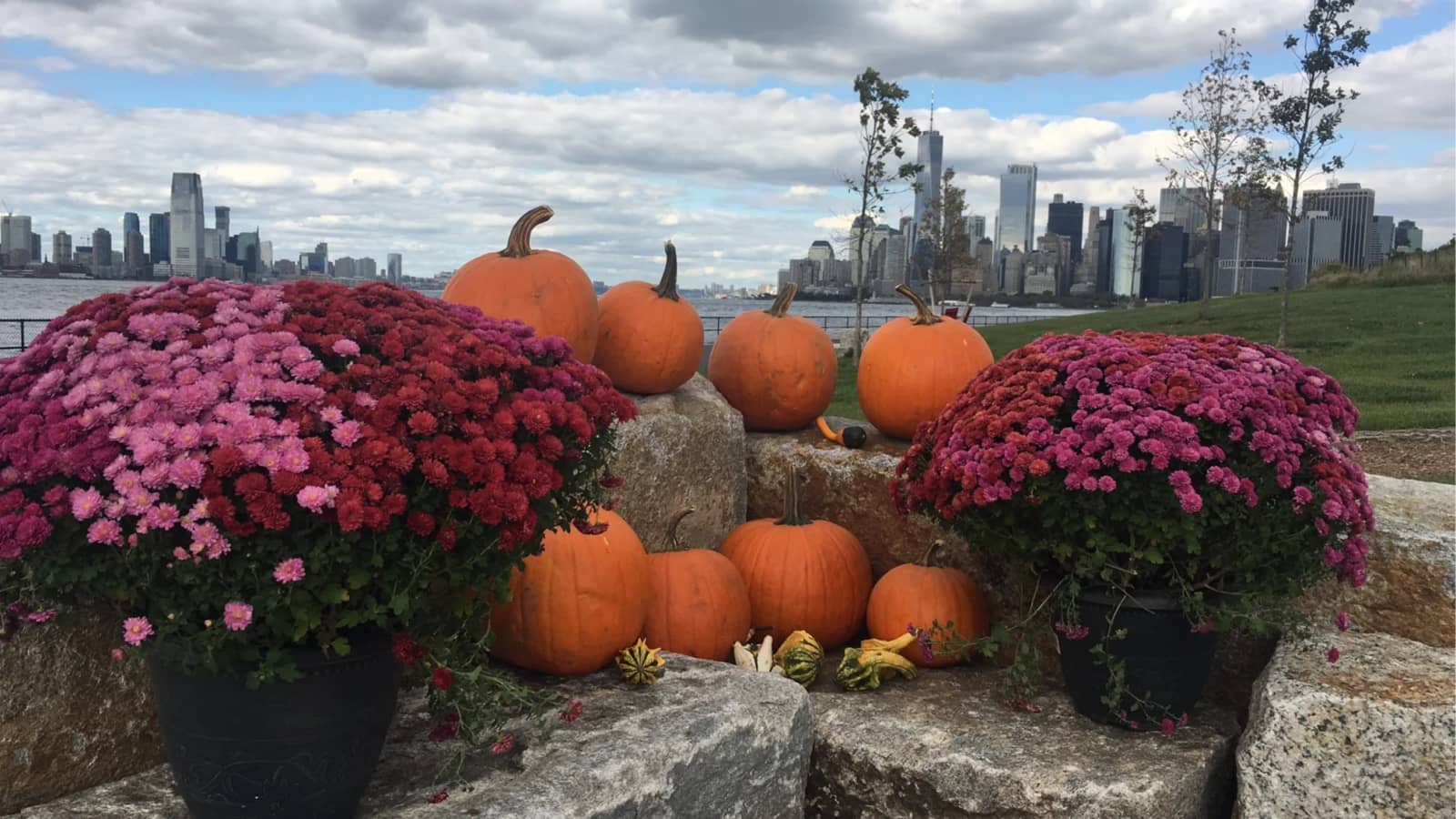 Governor's Island Day Trip & Pumpkin Patch Adventure