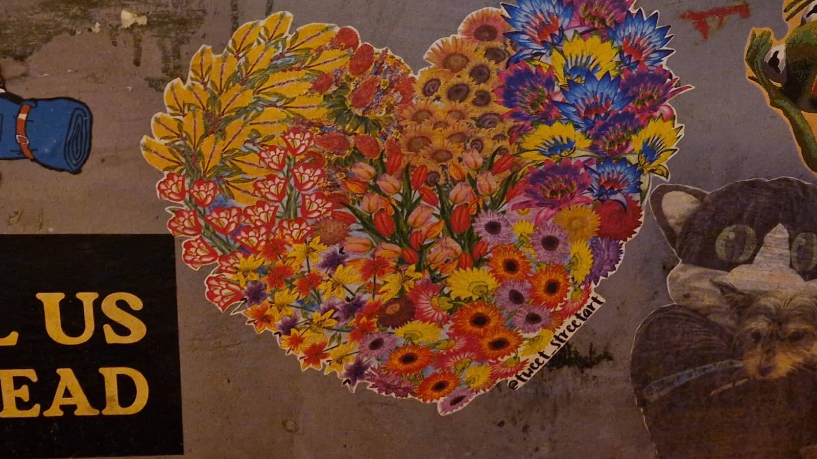 Emotional Healing - the basic practices