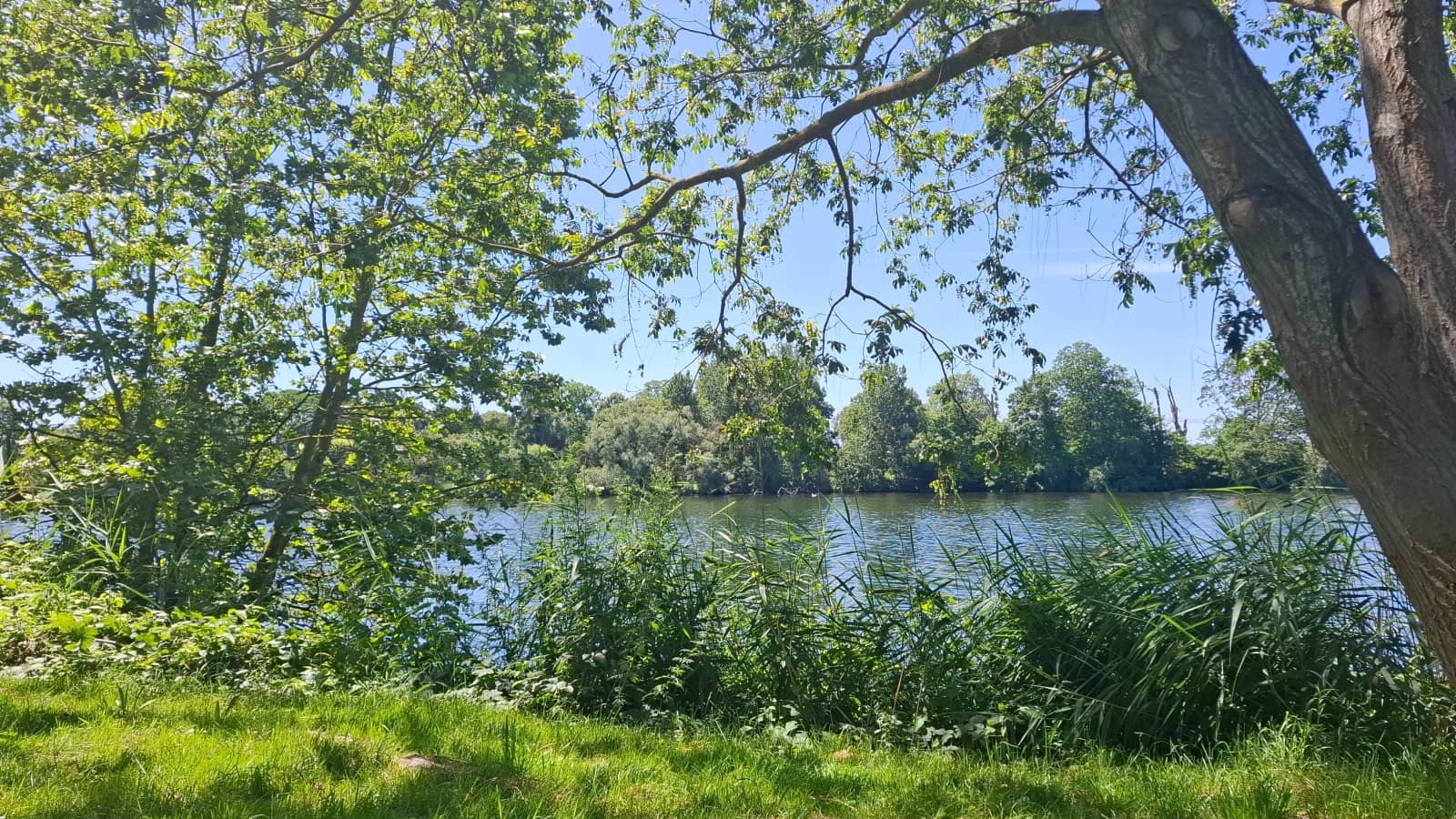 Promenade nature : "De Boulogne à Neuilly, les bords de Seine"