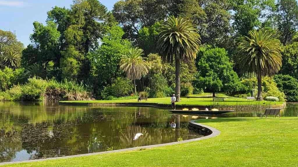 Day out to Melbourne Botanical gardens