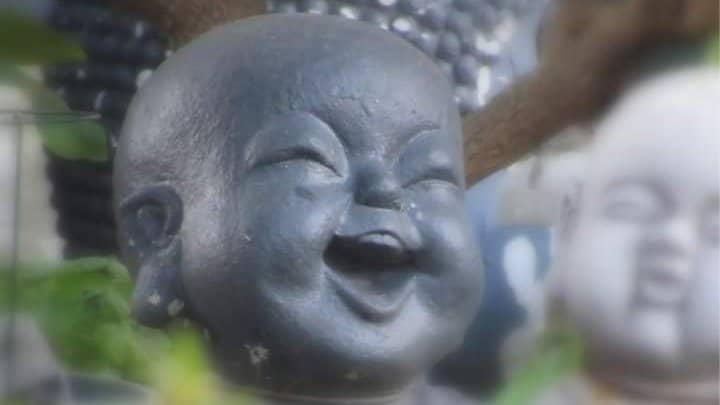 Silly Sundays Outdoor Laughter Yoga