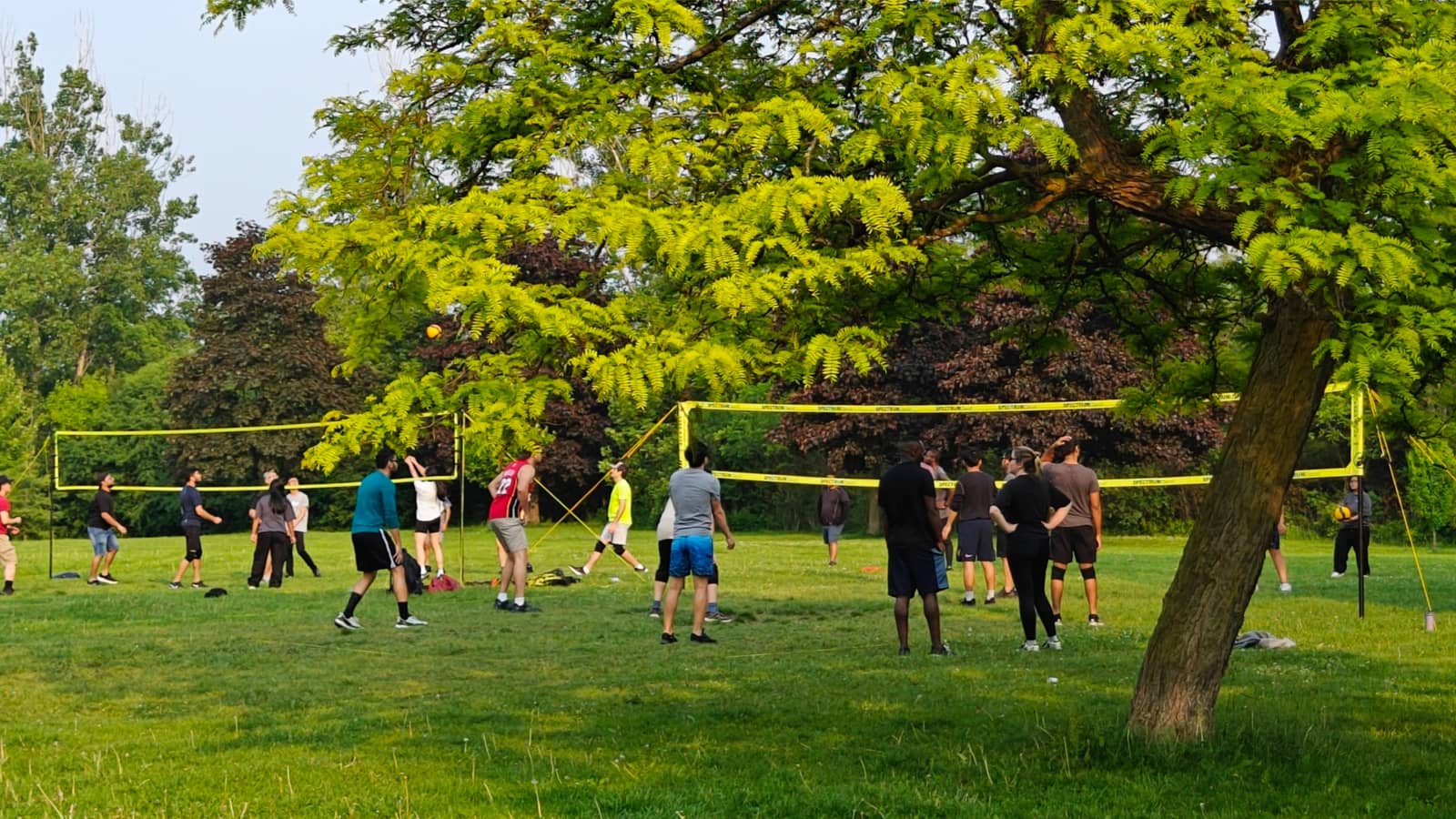 Wednesday Outdoor Volleyball In The Park