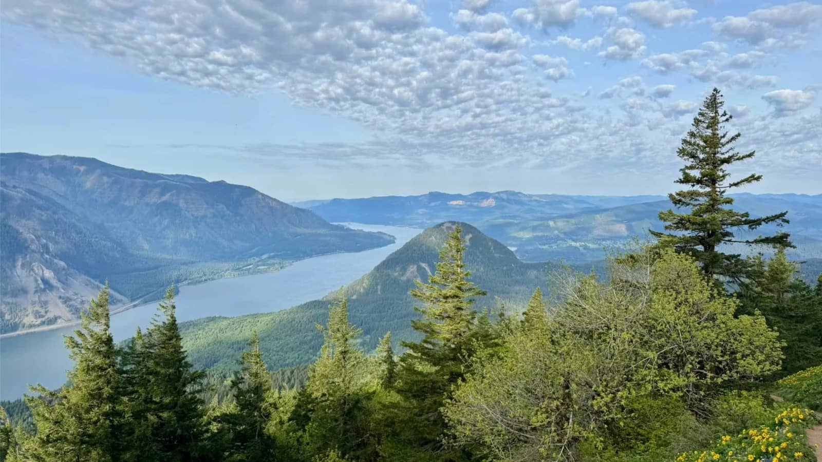 Columbia River Gorge | Dog Mountain