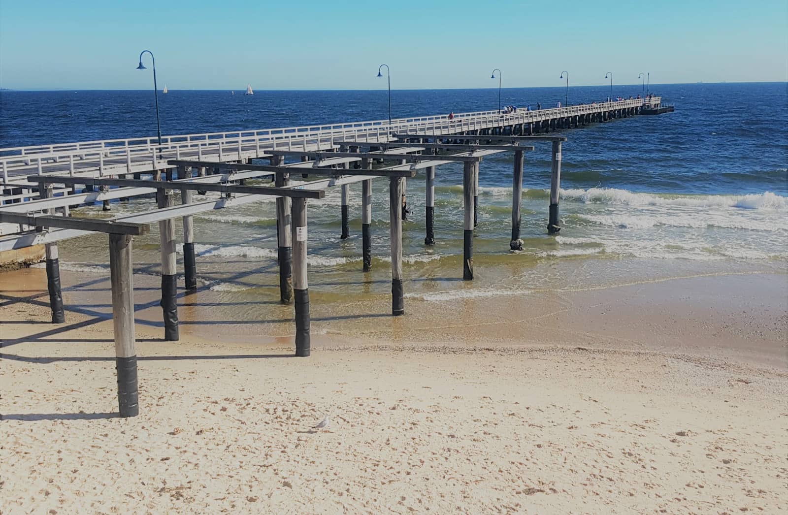 Monthly South Melbourne Beach Patrol beach clean-up