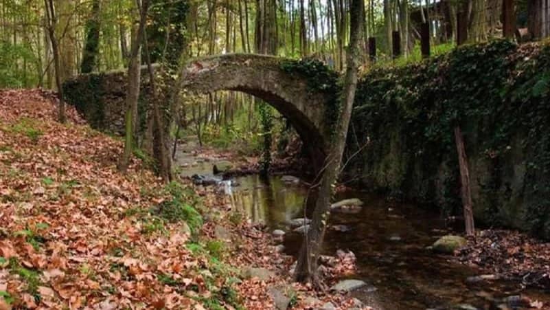 🌳🌳Senderismo Otoñal -Montseny-Gualba 🌳 Montseny 🌳Fácil🌳🌳