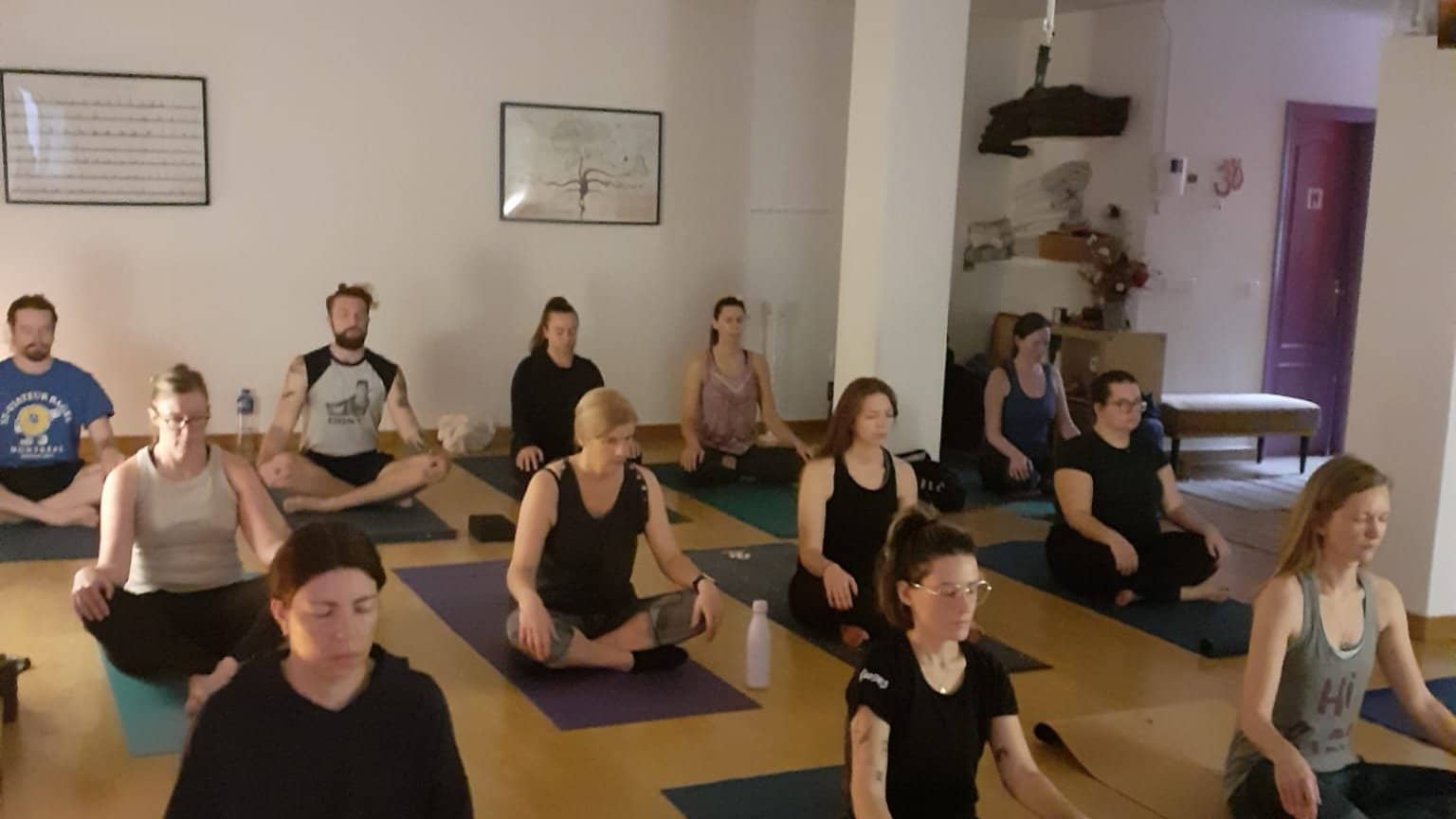 Hatha Yoga & Meditation (English) with Aleksandra - Goya (12h) & coffee☕️ Social