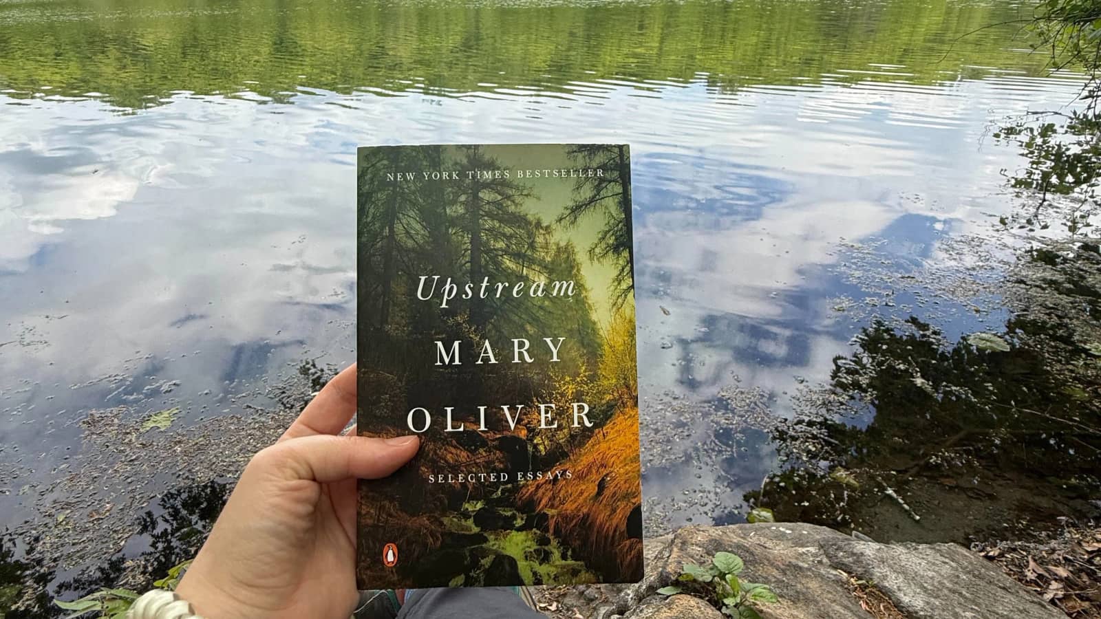 The Touch Grass Book Club Meet-Up: Mary Oliver's Upstream