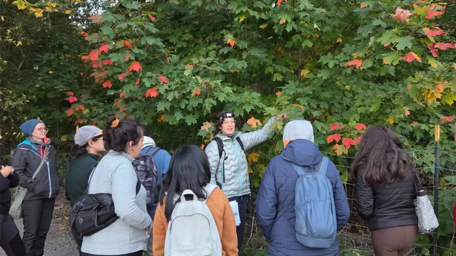 Randonnées interculturelles et arbres🌳 Intercultural Tree Walks
