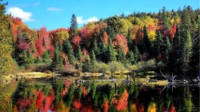 Algonquin Park Centennial Ridges Trail Hiking See Fall Colour