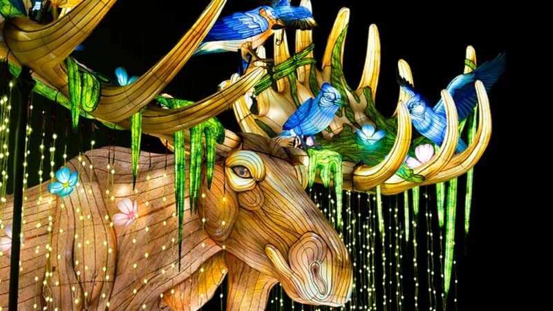 WildLanterns at Woodland Park Zoo (Seattle)