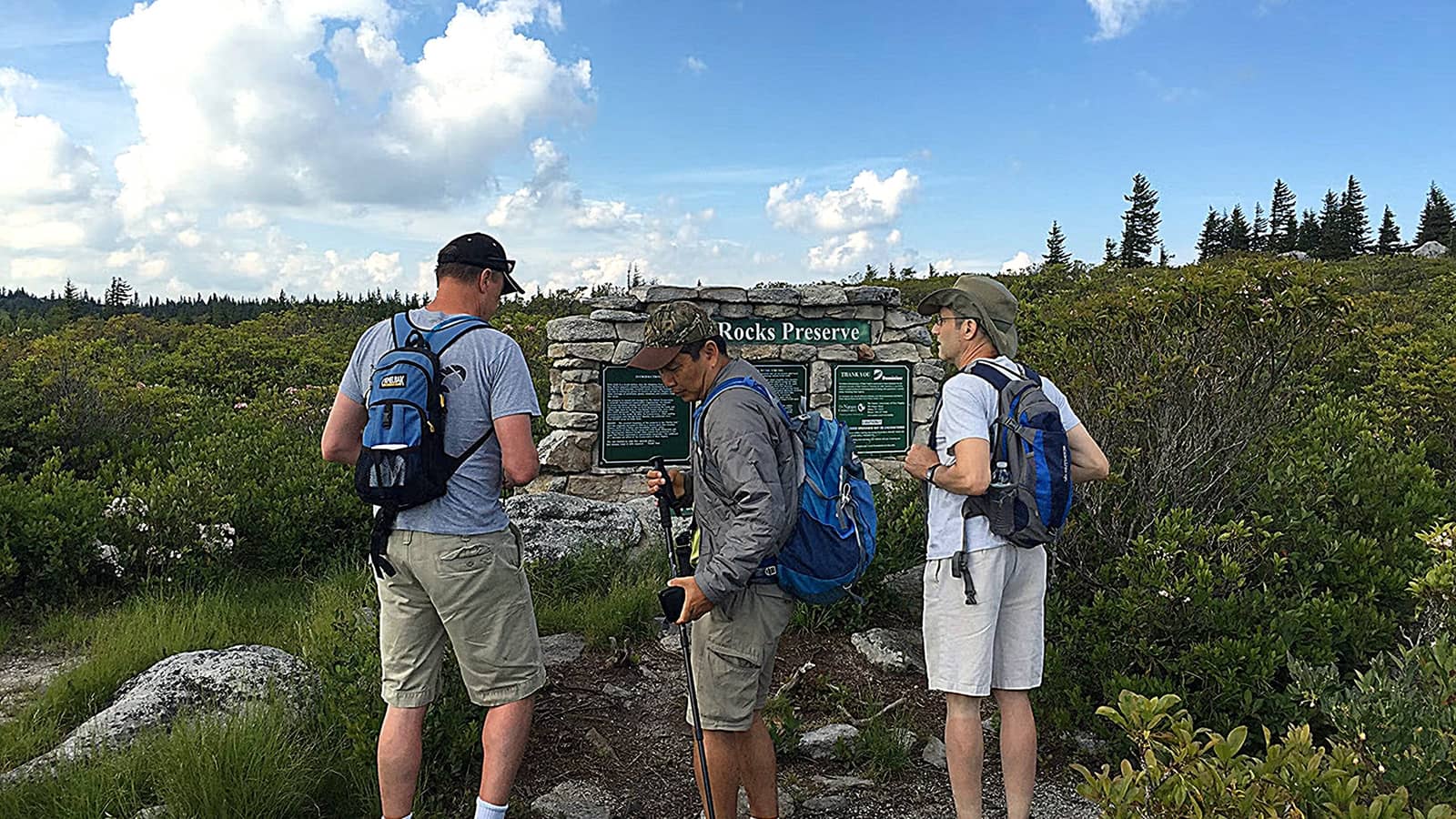 Return to the Dolly Sods