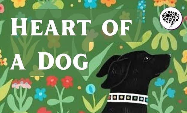 Let's Read "Heart of a Dog"