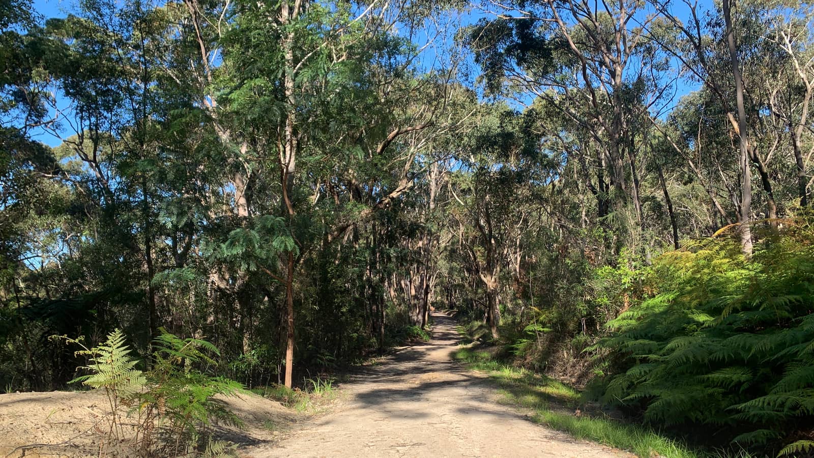 Bushwalking: Eastwood-Chatswood-Lane Cove River (21km) Medium/Hard