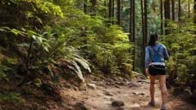 Pacific Spirit Park evening walk, 10km, moderate pace, 6.15pm Wednesday
