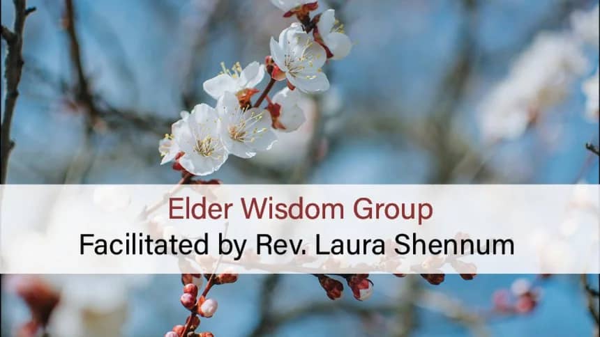 Elder Wisdom Group