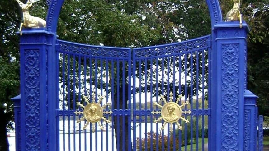 Exploring Hidden Gems of Djurgården Autumn Walk