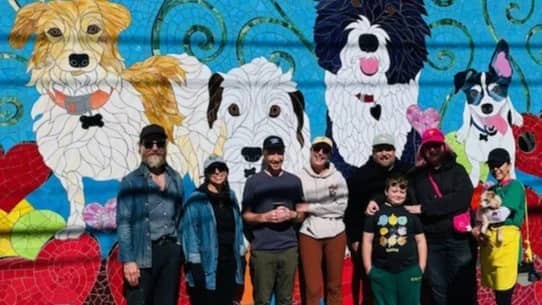 Muttville Cleanup