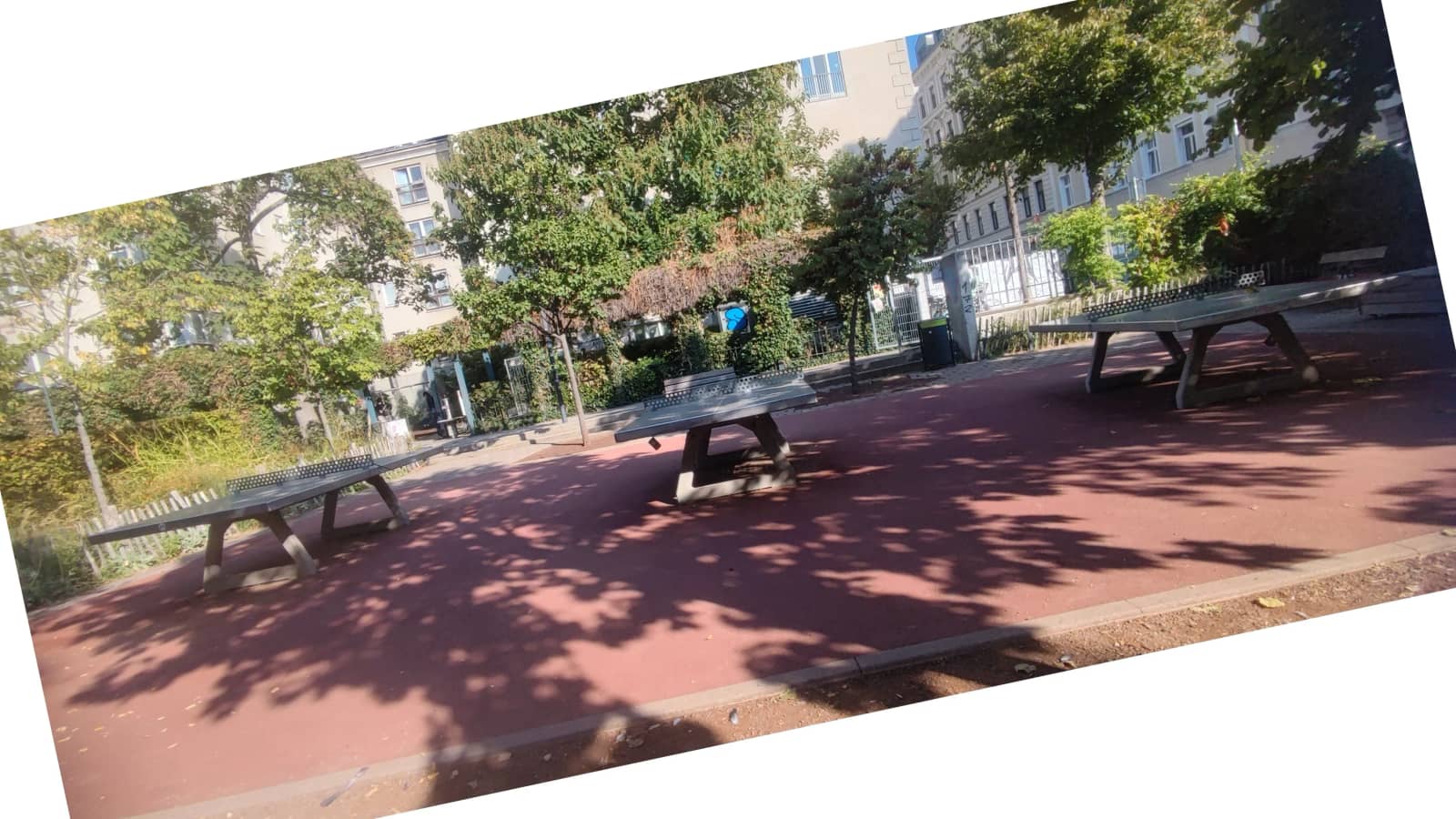Ping Pong Park Edition