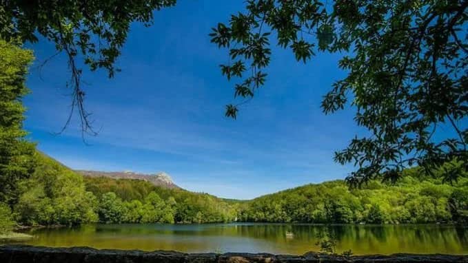 🌳✨ MONTSENY: LAGO DE SANTA FE Y SECUOYAS GIGANTES 🌿💚