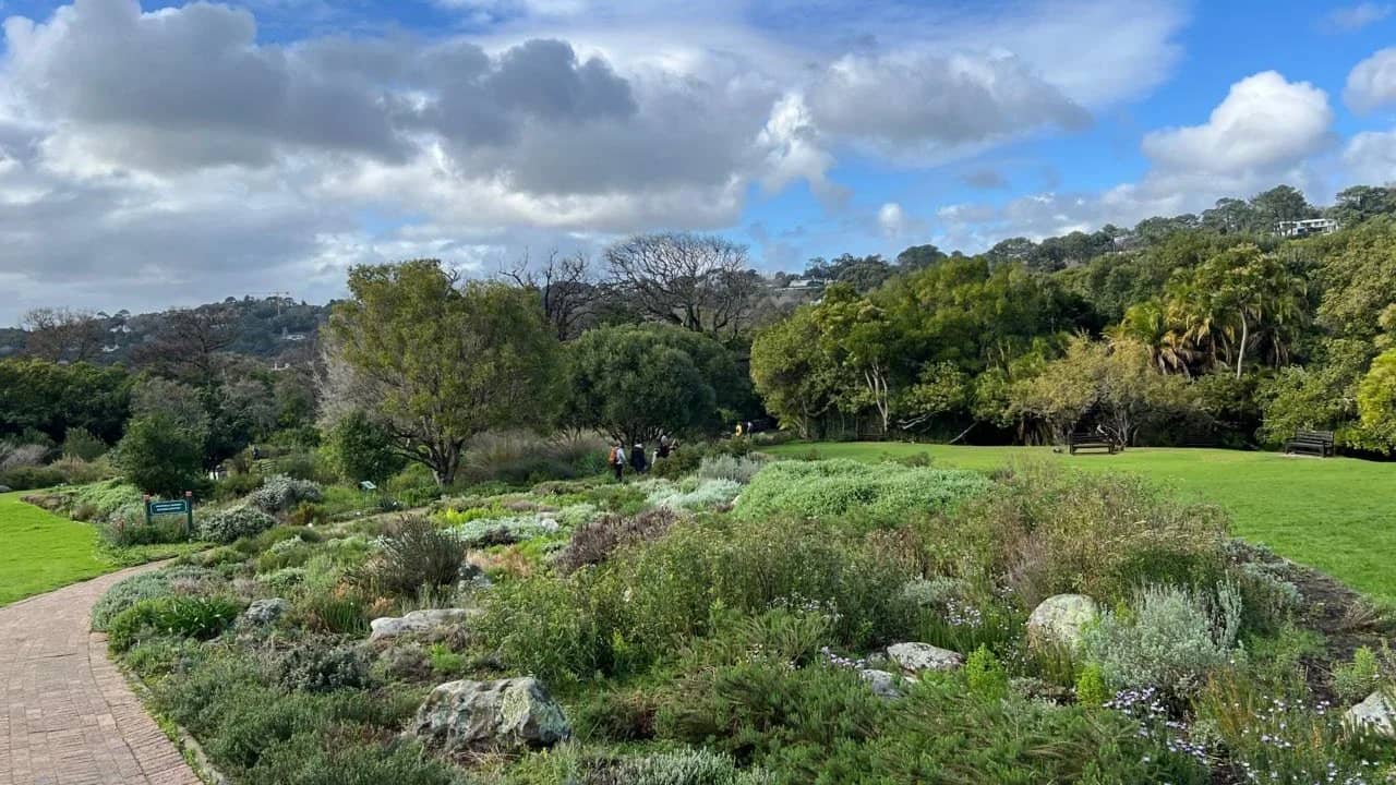 Newlands forest to  Kirstenbosch Gardens one way