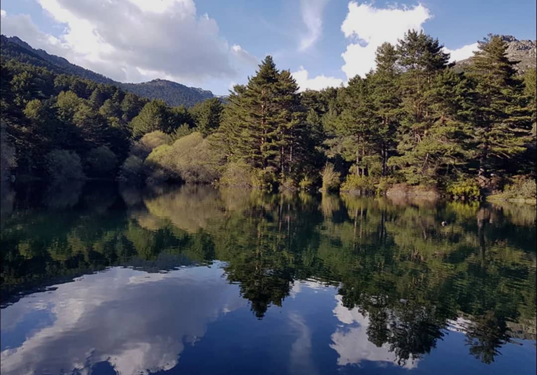 Sab.10 Senderismo al Mirador de las Canchas - Sierra de Guadarrama ⛰️