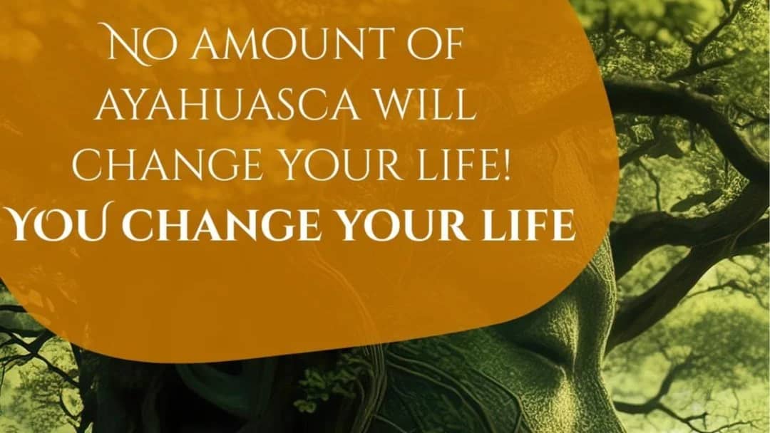 No amount of Ayahuasca will change your life - YOU change your life