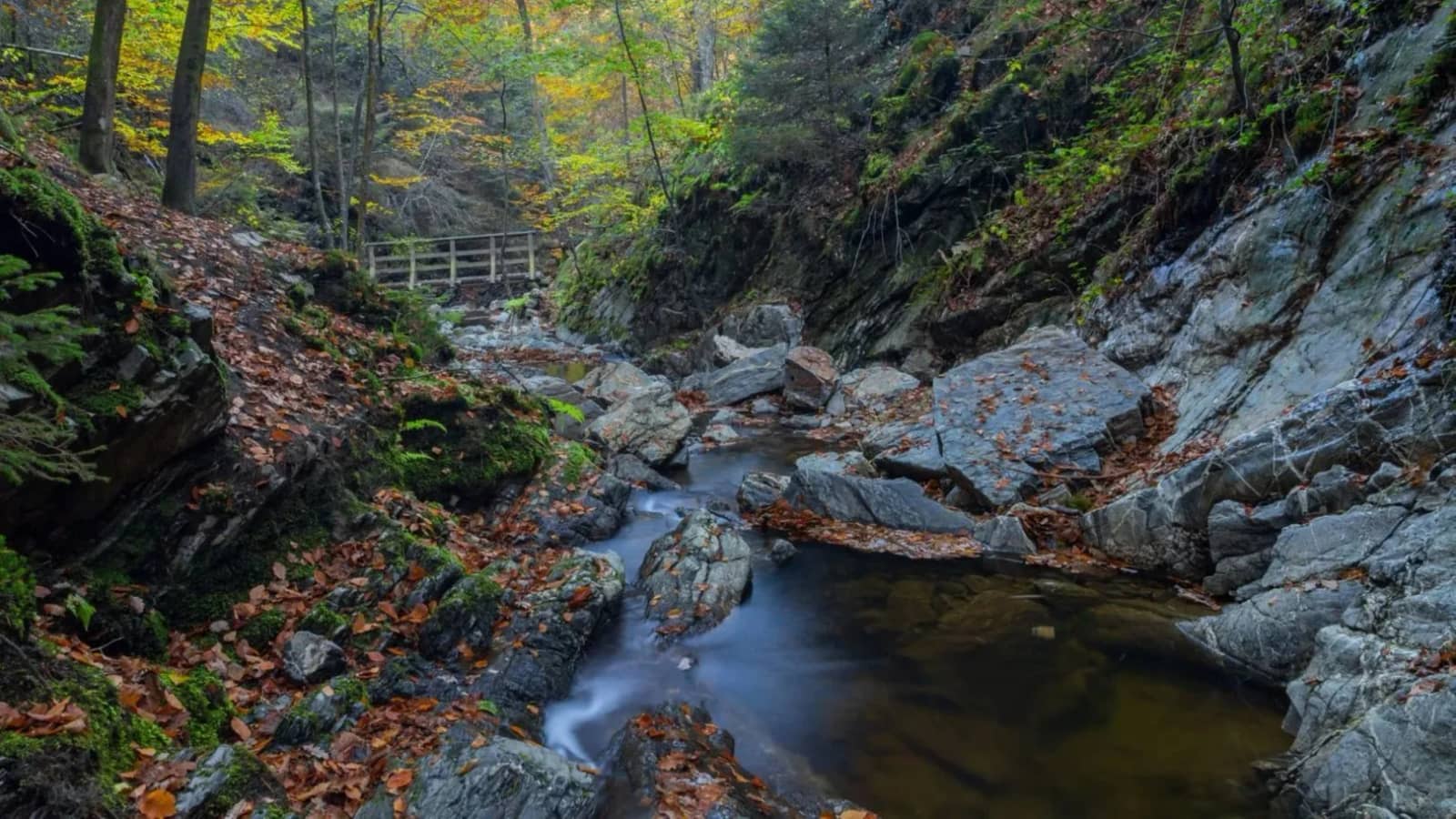 Hike Aywaille – Ninglinspo Valley - Spa (25 km) - Max 20 People