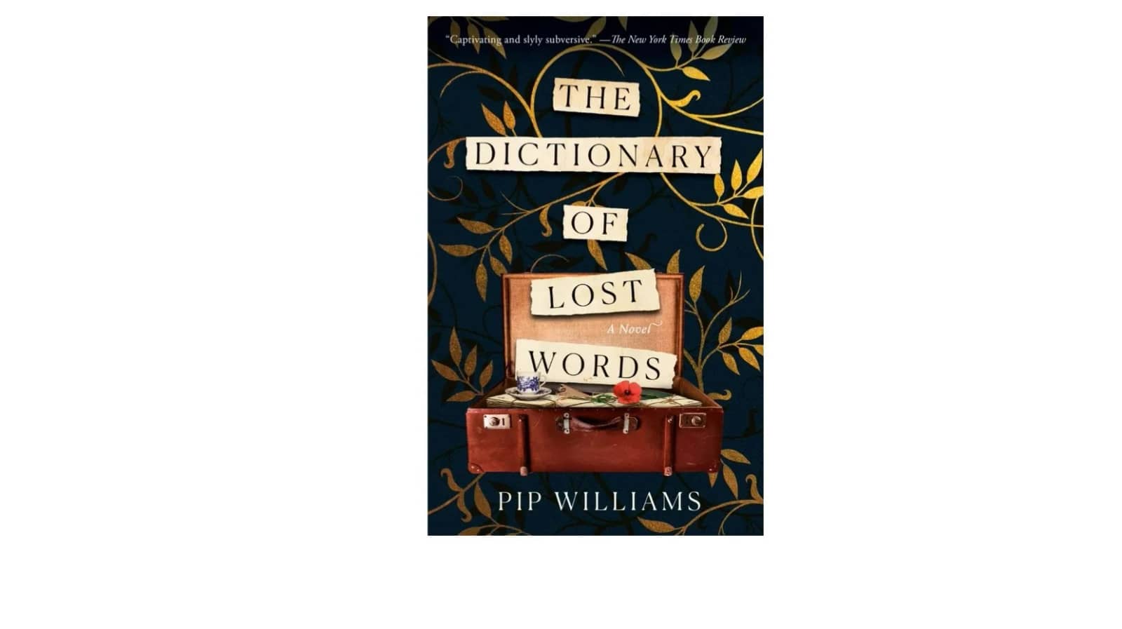 NOV BOOK- The Dictionary of Lost Words📚