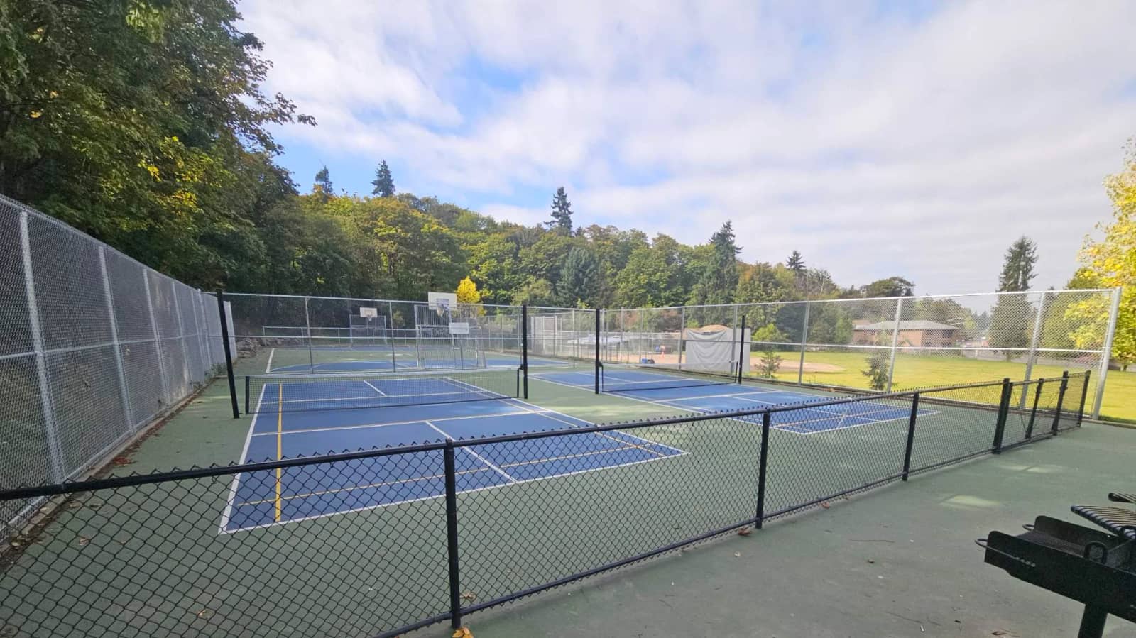40+ Singles Pickleball Seattle