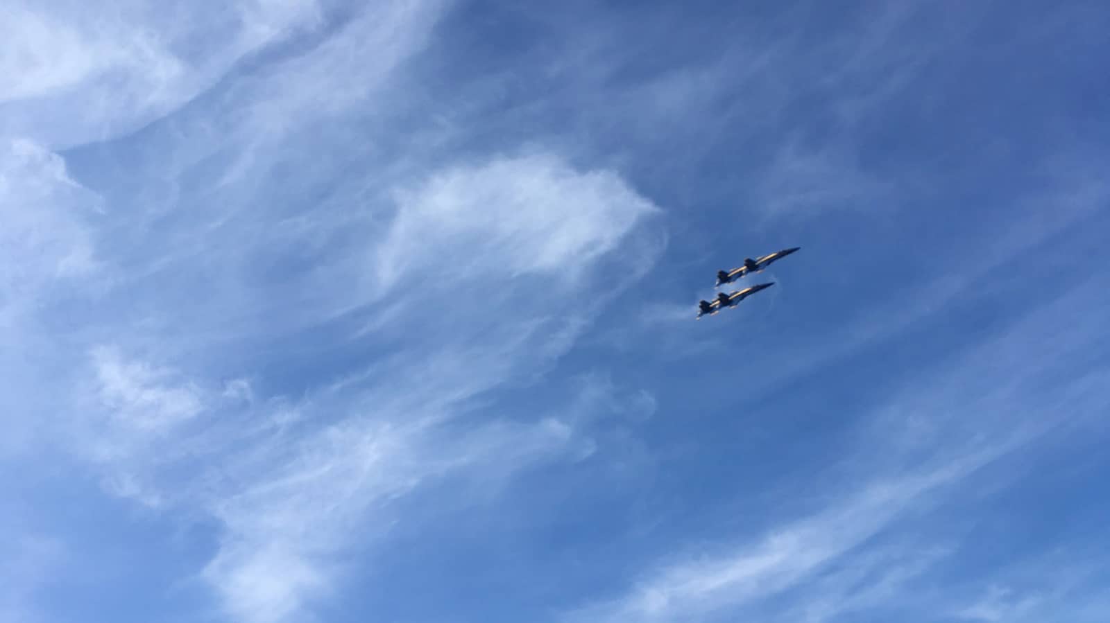 Come and watch the Blue Angels from Francisco Park. Walk from Ferry Building