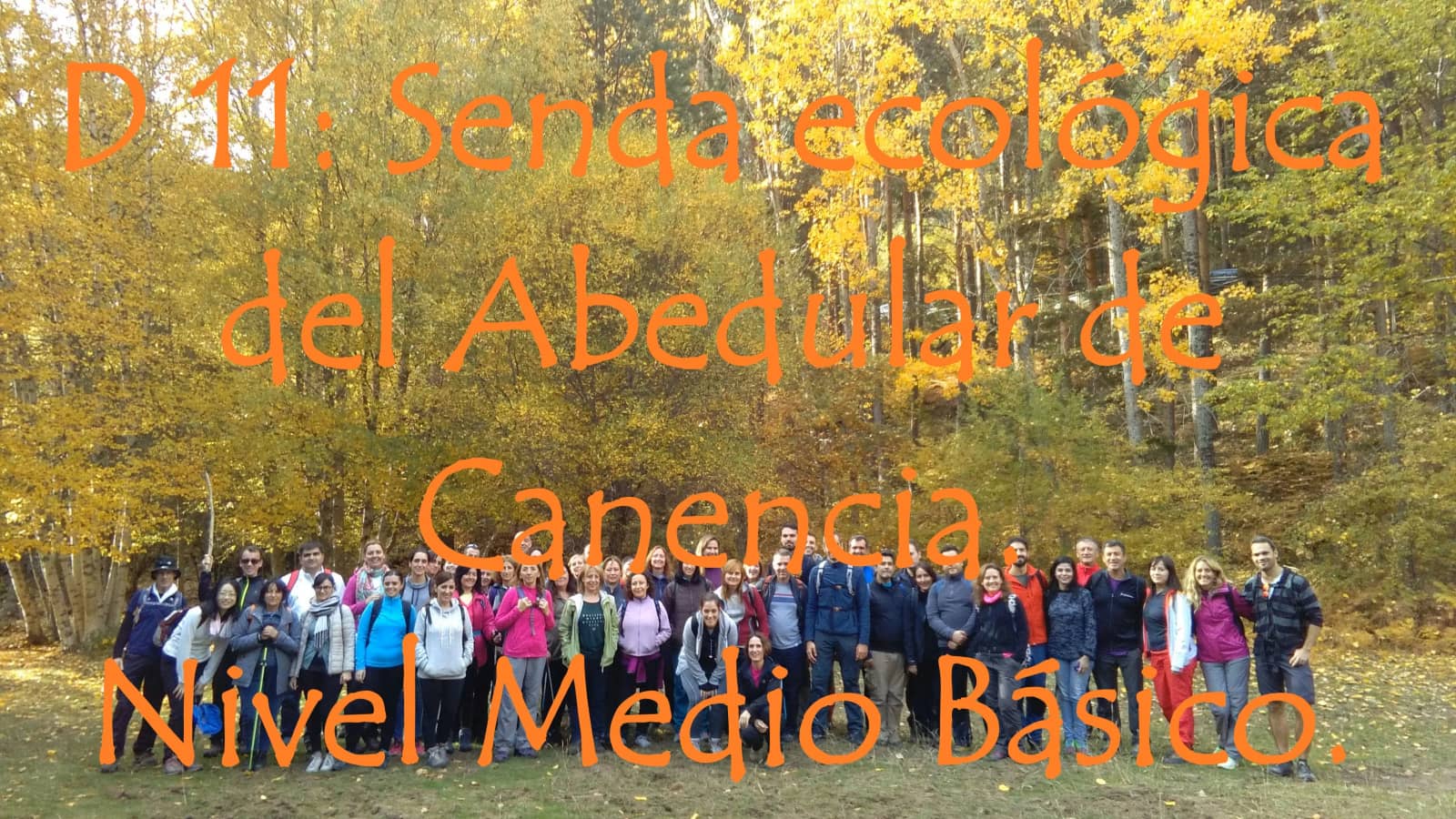 D 11: Senda ecológica del Abedular de Canencia. Nivel Medio Básico.