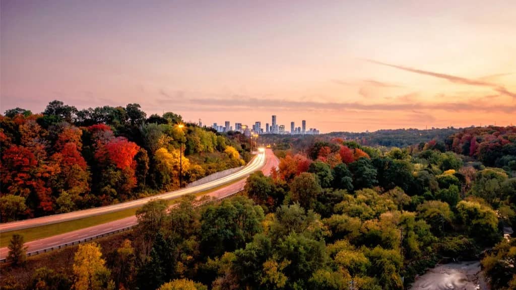 HUMBER RIVER: (Salmon Spawn Nature Walk & Social Gathering) (Bloor & Old Mill)