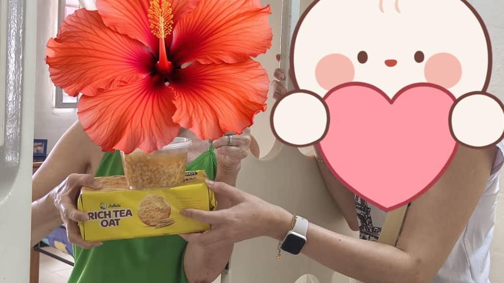 Volunteers wanted: Food for Seniors, Love for All!