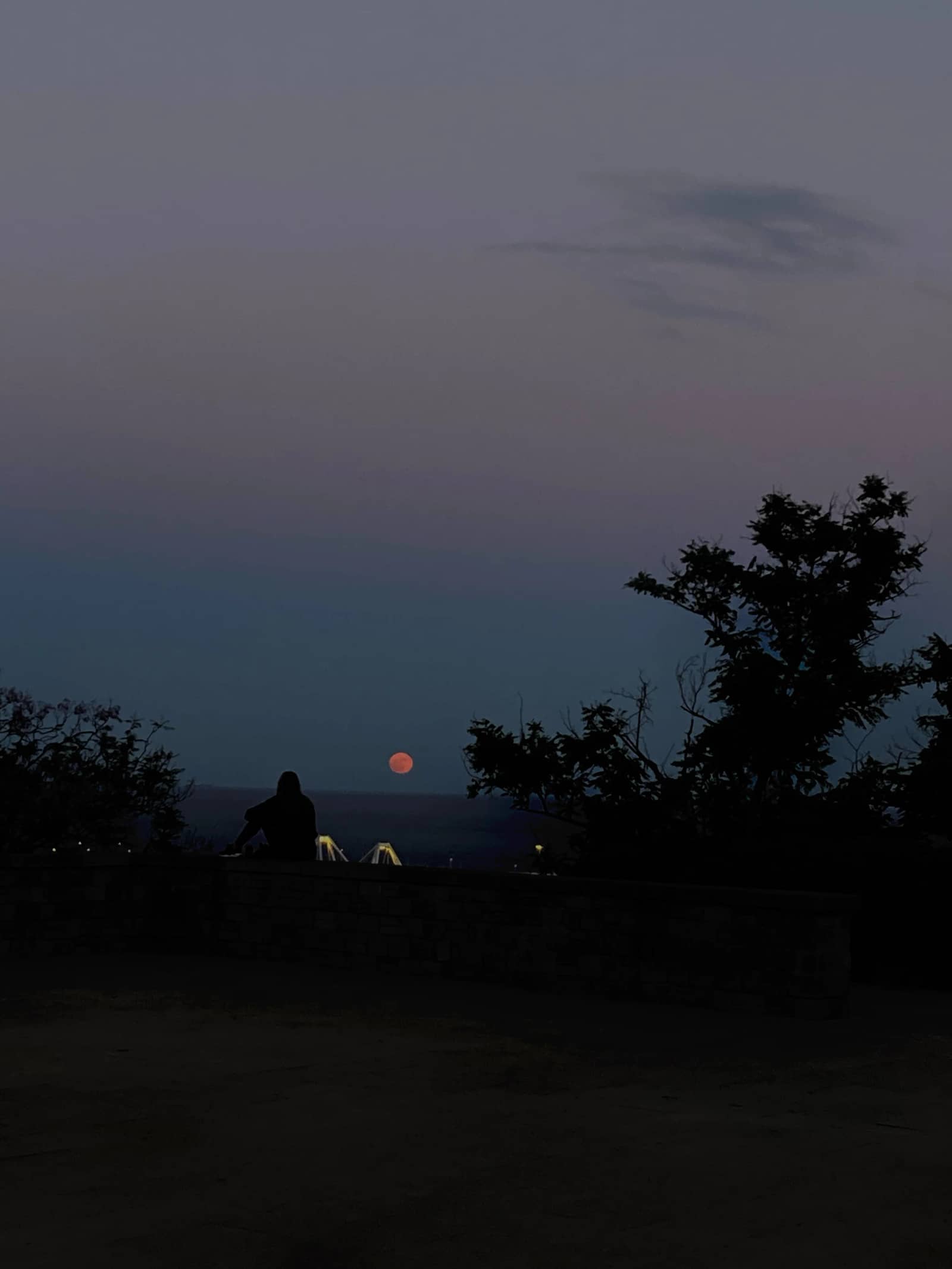 Paseos bajo la luna llena 🌝 : La “Cara B” de Montjuic