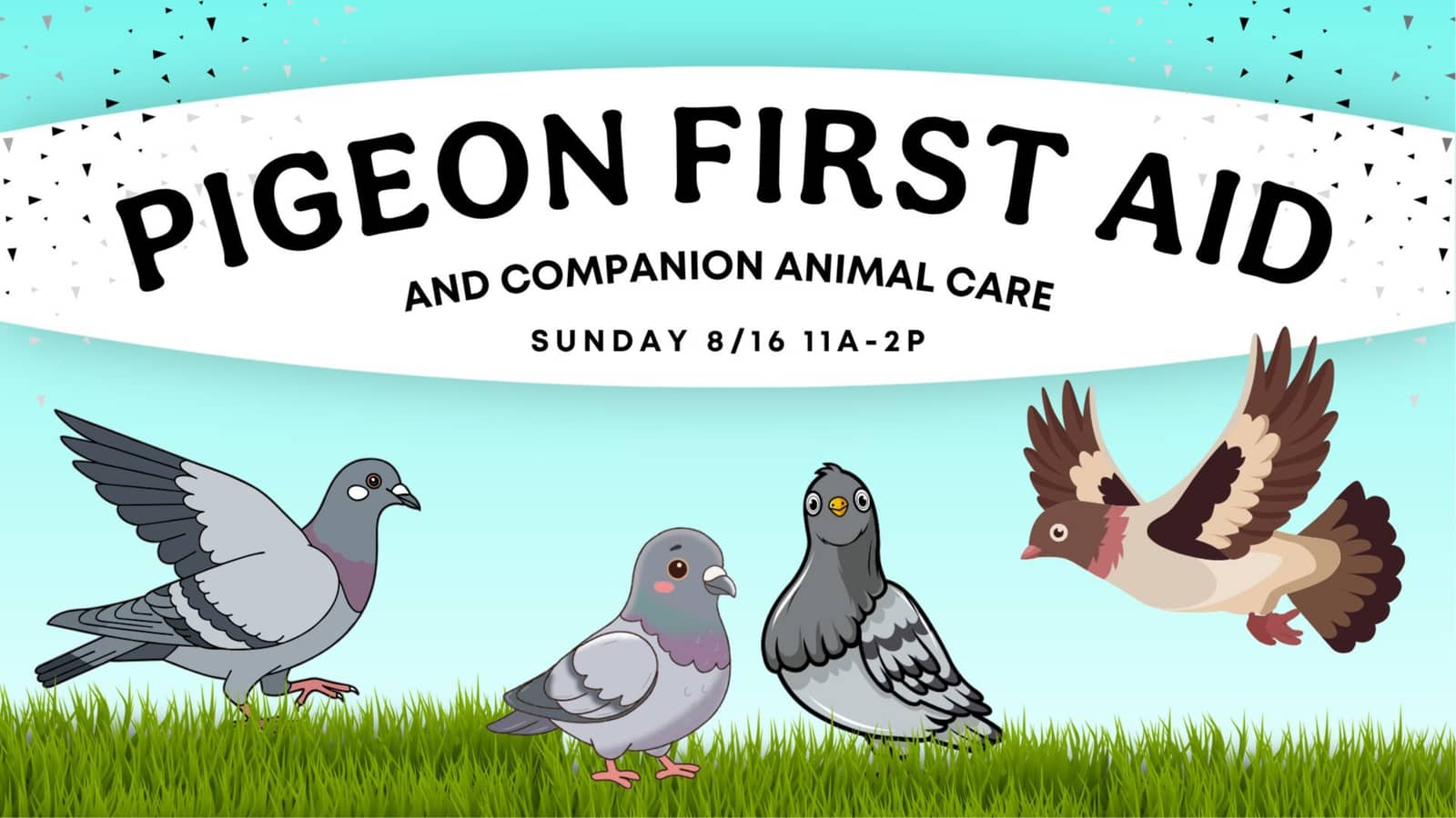 Pigeon First Aid & Companion Animal Care